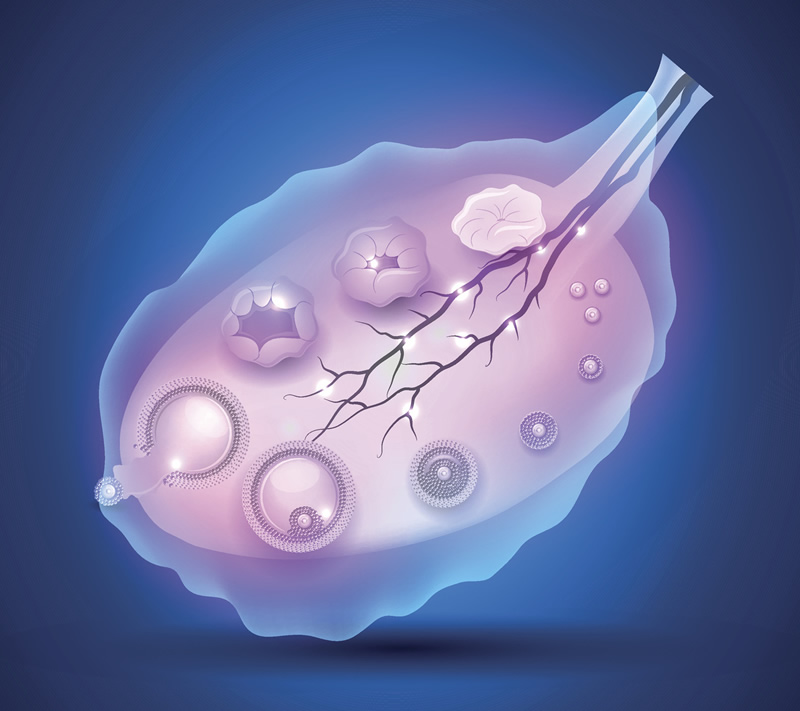 没有结婚证可以在武汉试管妇女小儿医院做试管吗？内附试管费用及成功率一览！